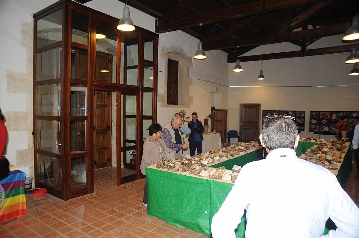 2Mostra Micologica Avola 13.11.2010 (111).JPG